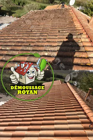 Artisan nettoyage de toiture Royan