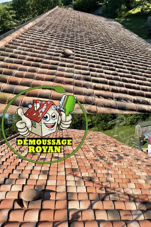 Société de démoussage de toiture Royan