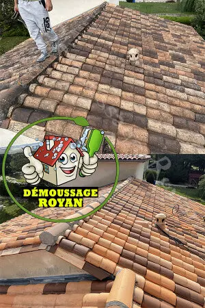 Obtenez un devis gratuit nettoyage de toiture Saujon 17600