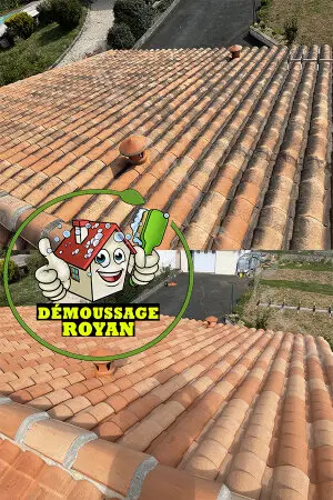 Société de démoussage Saujon 17600